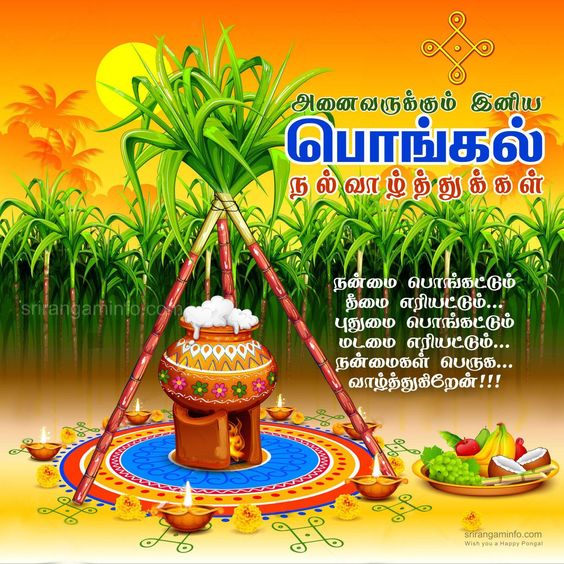 Pongal Wishes Images With Quotes In Tamil 1