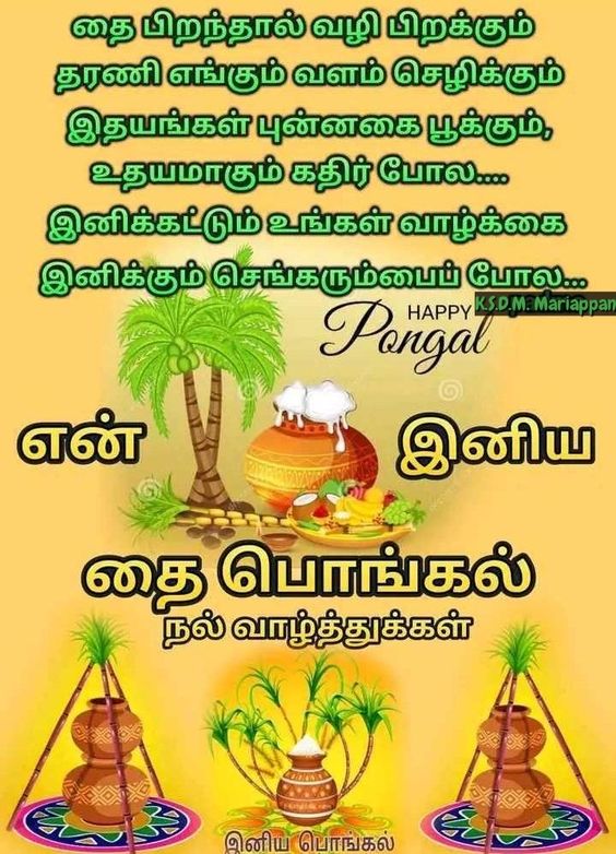 Pongal Wishes Images With Quotes In Tamil 3