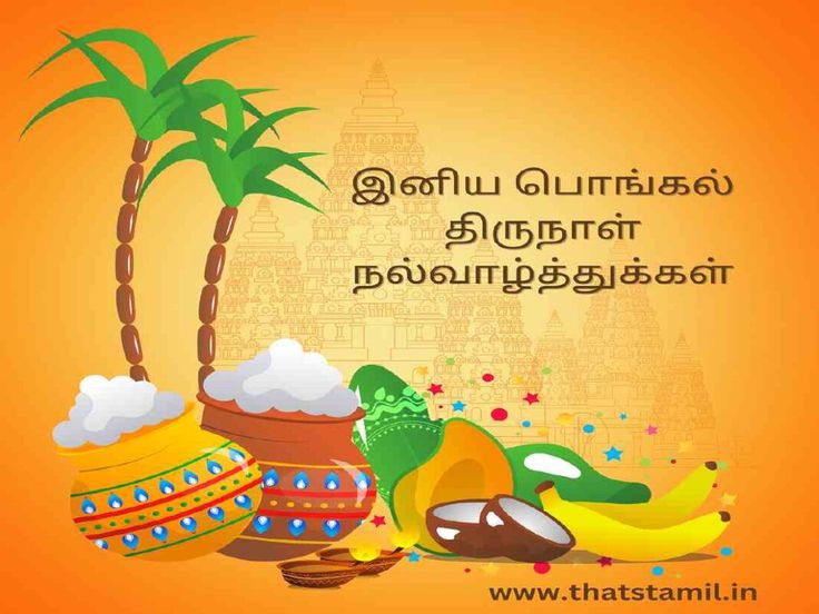 Pongal Wishes In Tamil 2024 Images 2