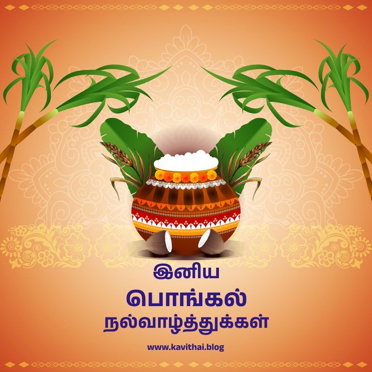 Pongal Wishes In Tamil 2023 Images 4