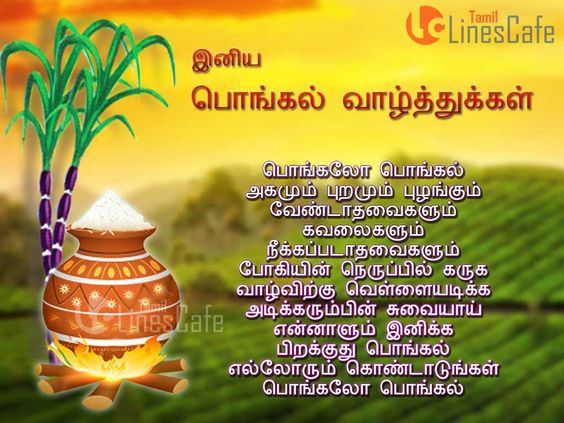 Pongal Wishes Images With Quotes In Tamil 4