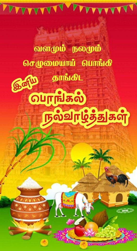 Pongal Wishes In Tamil Images Download 3