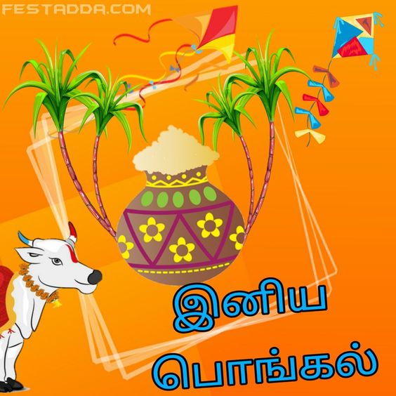 Pongal Wishes In Tamil Png 2