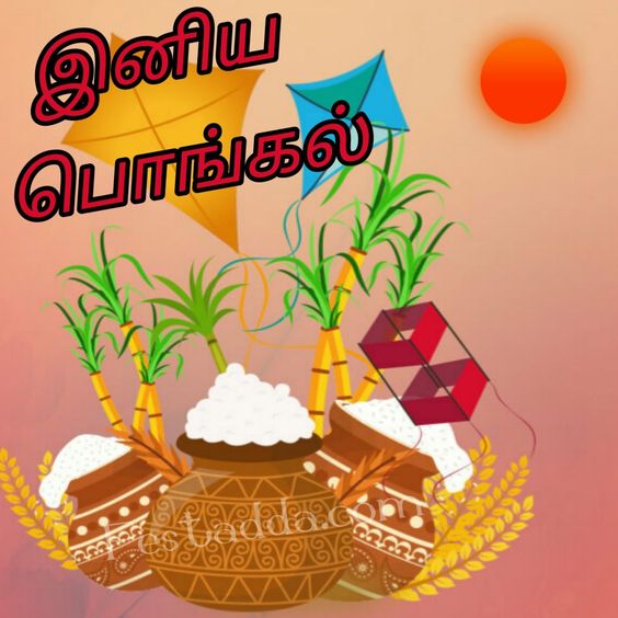 Pongal Wishes In Tamil Png 3