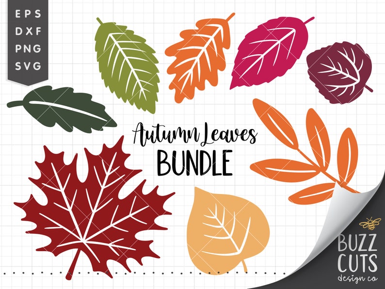 Fall Leaf Svg Bundle Free Creativity and Fun Digital Download ...