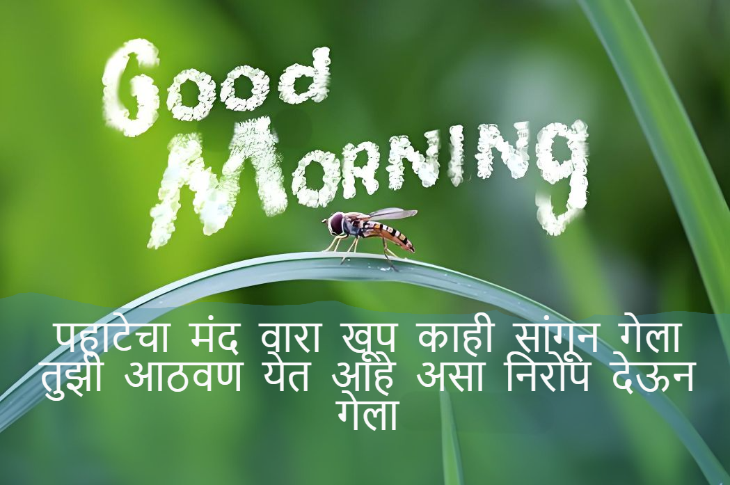 Good morning quotes Marathi Love，Good morning quotes Marathi