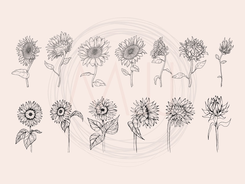 Sunflower Svg Bundle Creativity And Fun Digital Download 