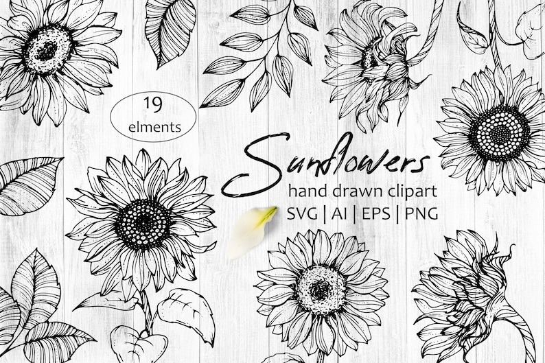 Sunflowers Black And White Svg, PNG Sunflowers Clipart, Printable Flowers, Digital Download